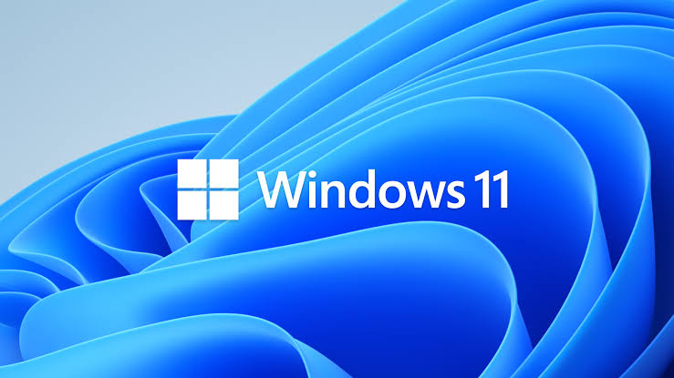Windows 11 Setup Image 1