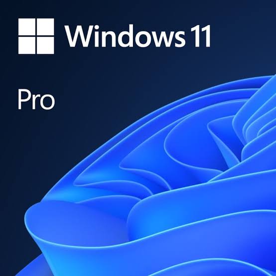Windows 11 Setup Image 2